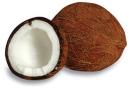 coconut-2.jpg