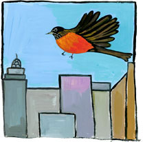 city_robin.jpg