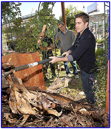 jake_compost11 jake_compost11