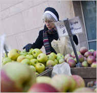 Photo by Josh Haner for The New York Times