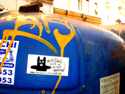 sticker3 bunny sticker in the wild