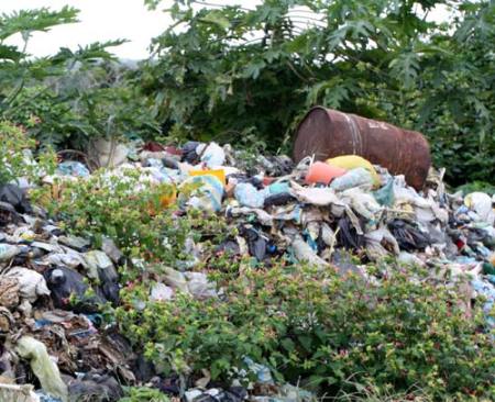 Isabela Island, photo via SuperVegan