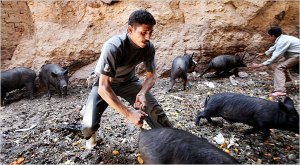 cairo Shawn Baldwin for The New York Times