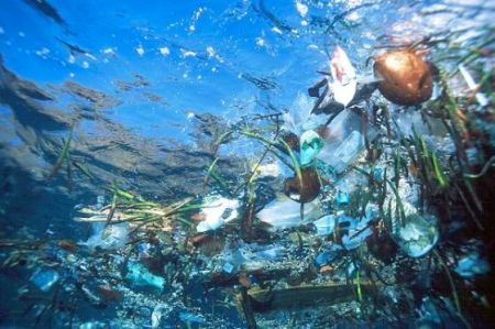 underwatertrash Underwater trash photo via RedOrbit