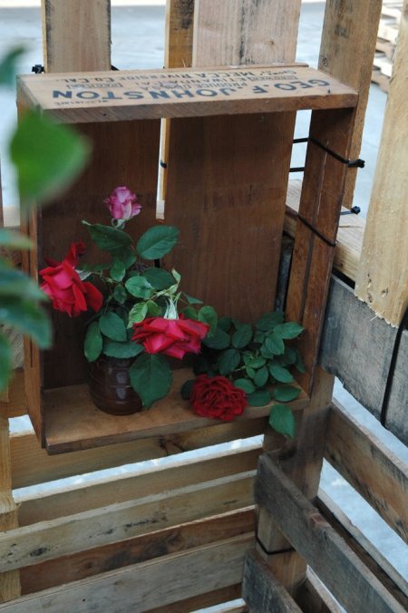 Mr. Jalopy's shackitecture project