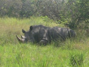 18459_302685193478_620748478_3575001_6217243_n