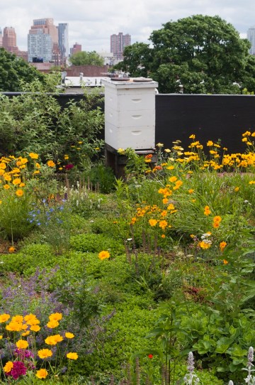 via ecobrooklyn.com/